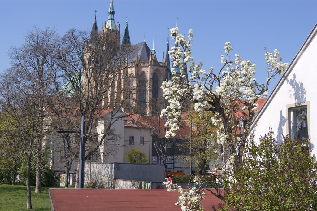 Pension Am Dom Erfurt Exterior photo