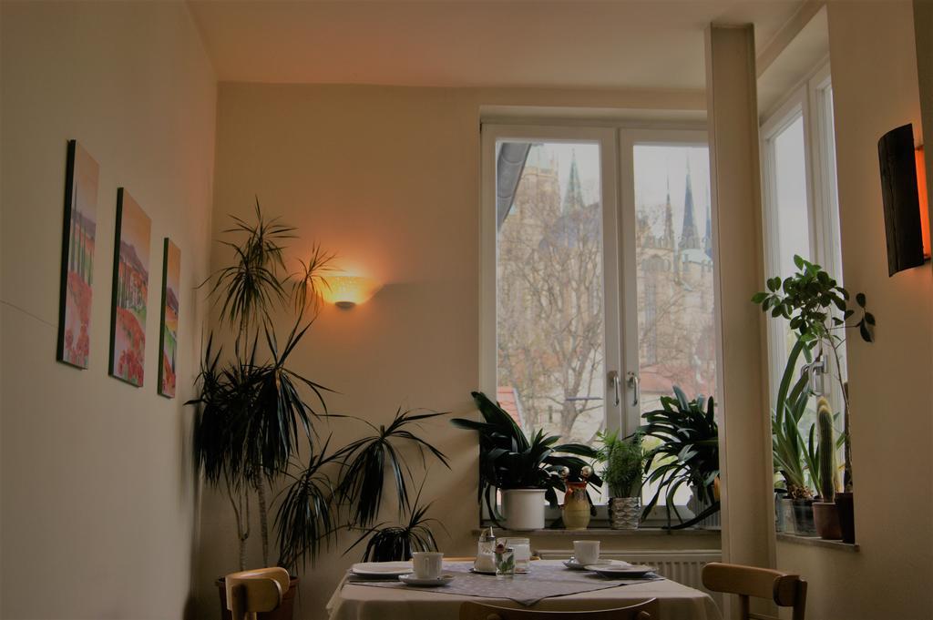Pension Am Dom Erfurt Exterior photo